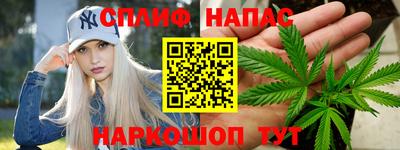 трава Сланцы