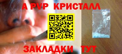 трава Сланцы