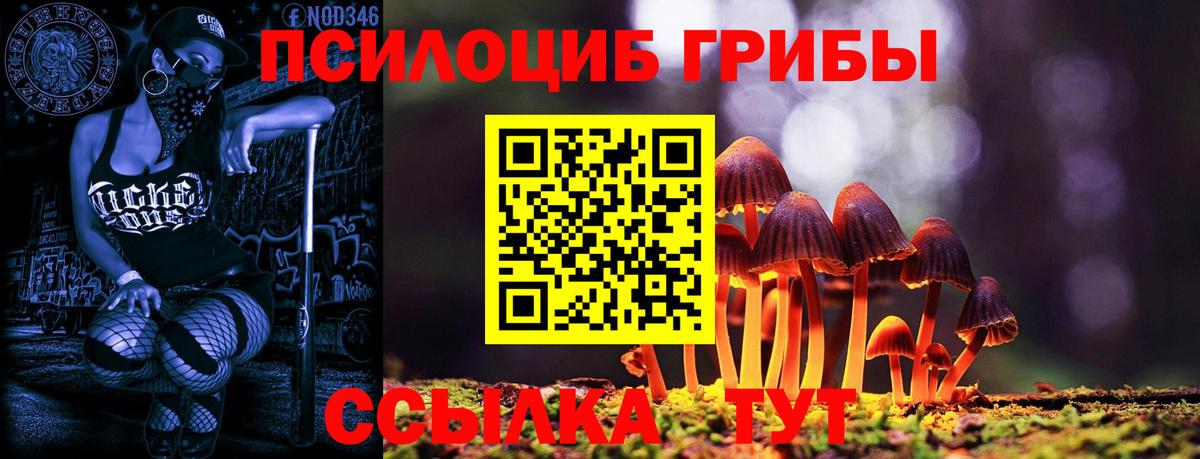 Галлюциногенные грибы ЛСД Прохладный