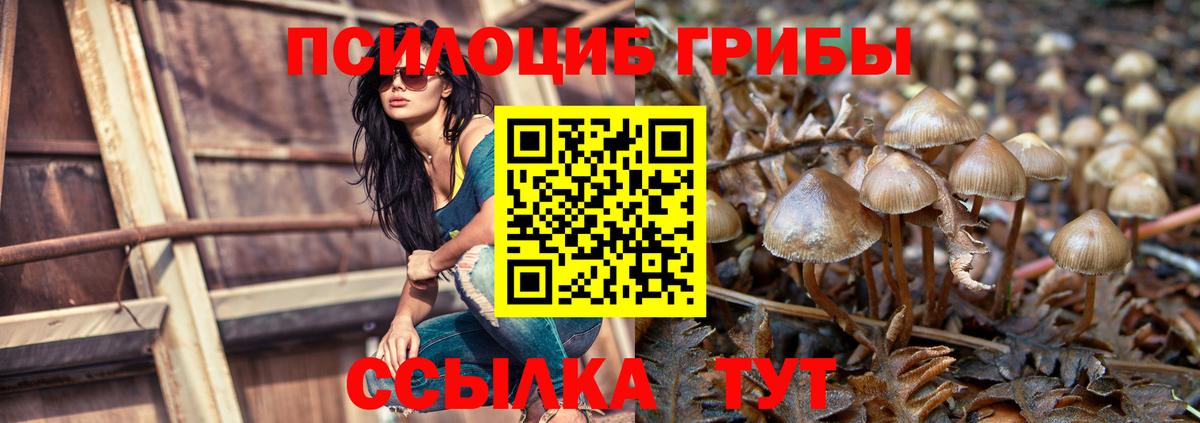 Прохладный  Галлюциногенные грибы MAGIC MUSHROOMS  Вход с VPN 